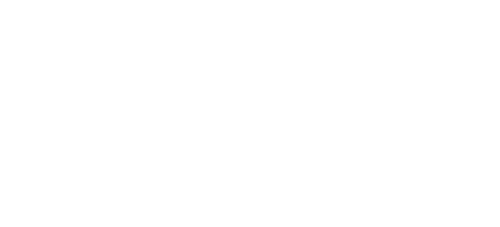 Press Play Ventures Logo White